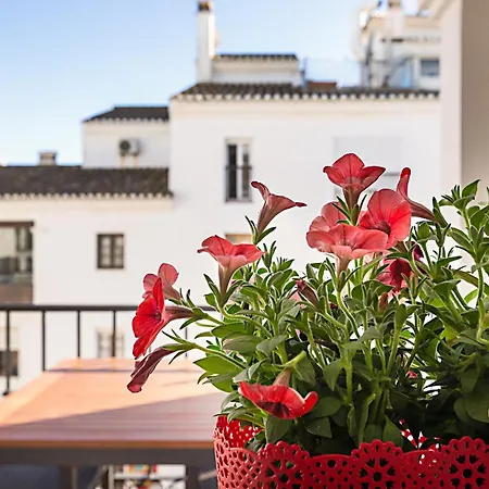 Duquesa Port Studio Apartment - Bright Sunlit Terrace Manilva Extérieur photo